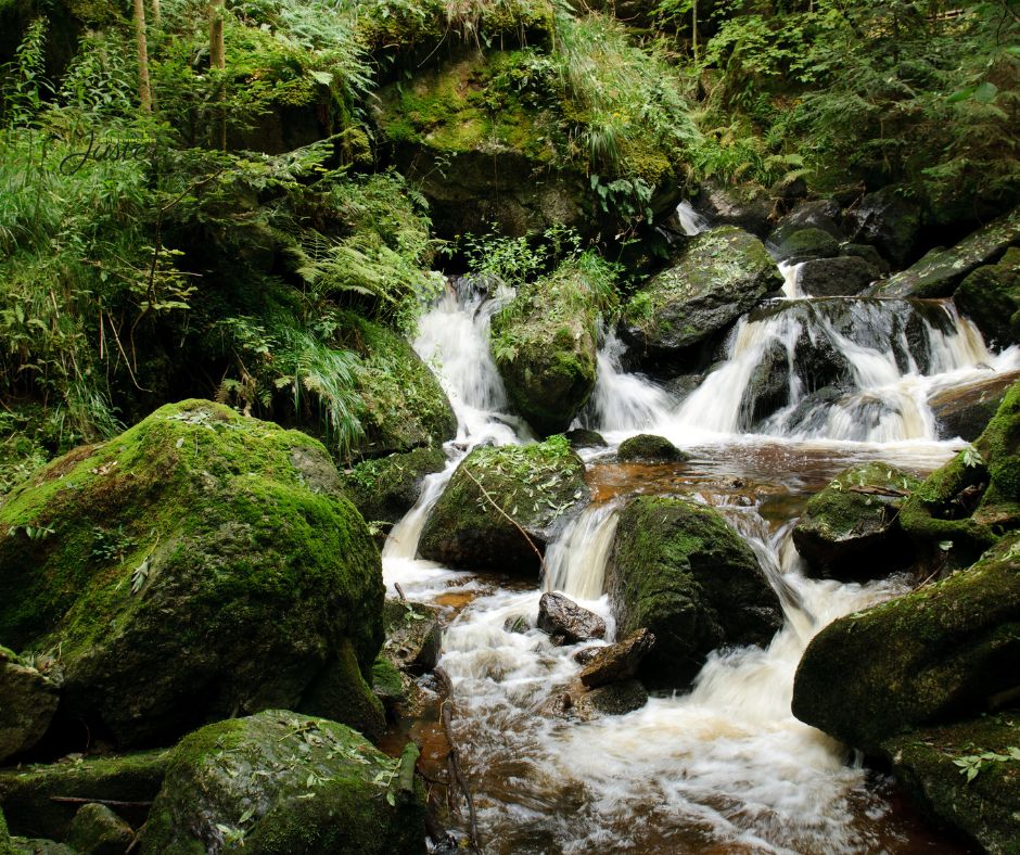 Ysperklamm, Wasser, Moos, Kaskaden