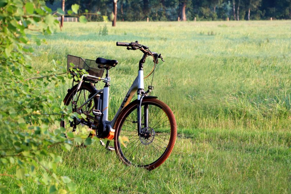 Fahrrad in der Wiese
