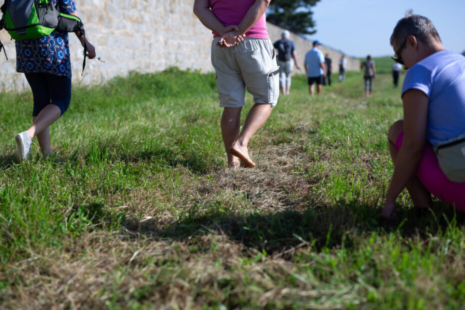 gehen - gedenken- mauthausen